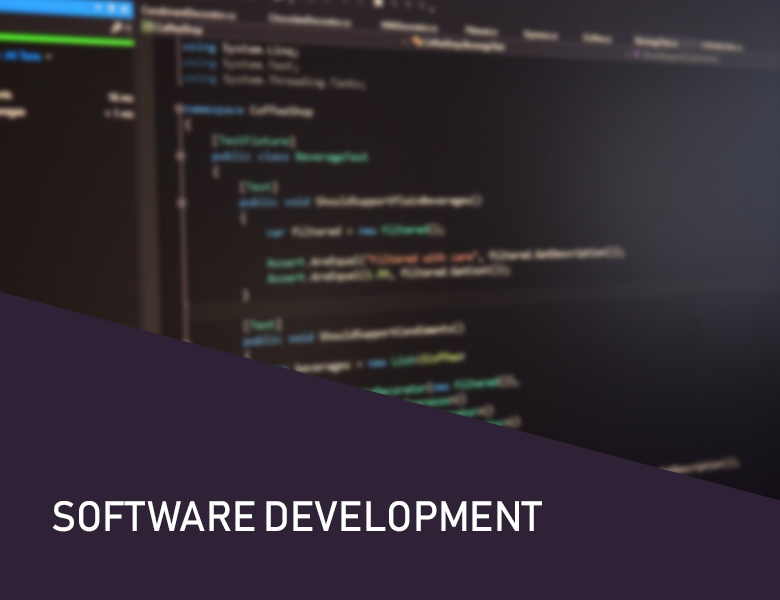 Software Development
