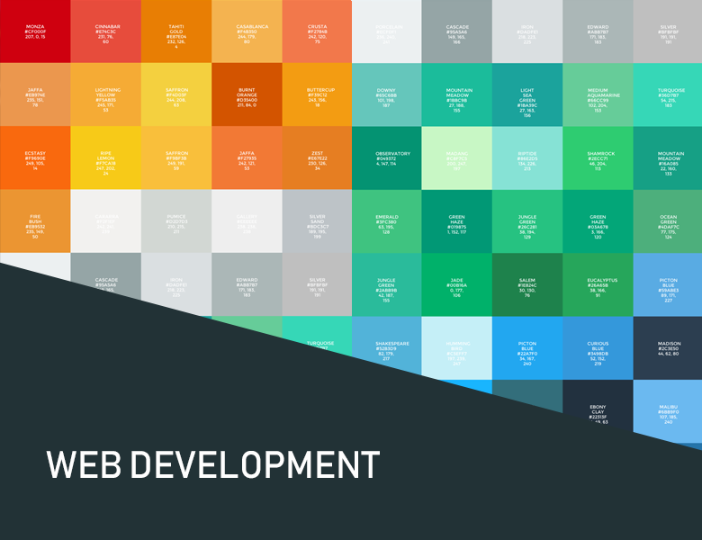 Software Development